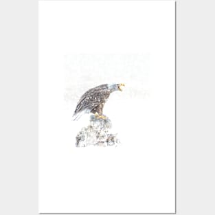 Bald eagle in snowstorm Posters and Art